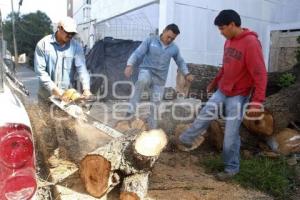 CAÍDA DE ÁRBOL EN REFORMA SUR