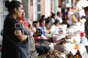 CHILE EN NOGADA . INGREDIENTES