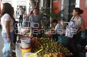 CHILE EN NOGADA . INGREDIENTES