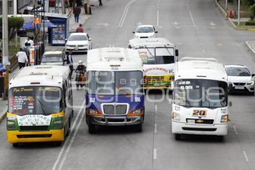 TRANSPORTE PÚBLICO