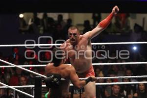 WWE LIVE