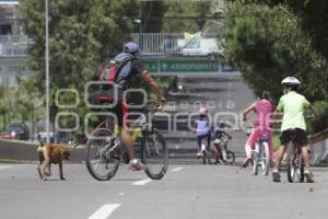 CICLOVÍA