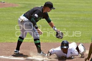 BÉISBOL . PERICOS VS LEONES