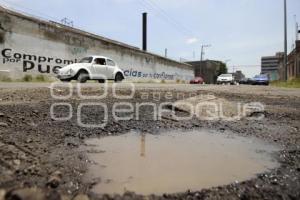 BACHES