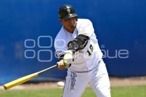 BÉISBOL . PERICOS VS LEONES