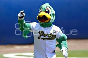 BÉISBOL . PERICOS VS LEONES