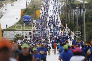 CARRERA KELLOGGS