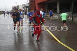 CARRERA KELLOGGS