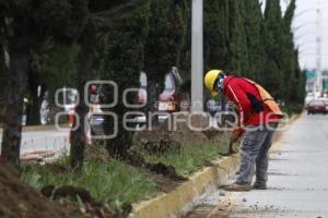 CICLOVÍA HERMANOS SERDÁN