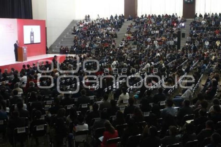 UIA . INFORME FERNANDO FERNÁNDEZ FONT