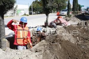 CICLOVÍA HERMANOS SERDÁN