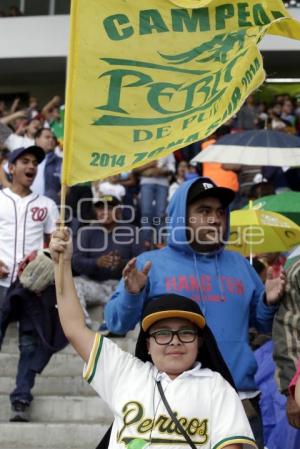 SERIE DEL REY . PERICOS VS TOROS