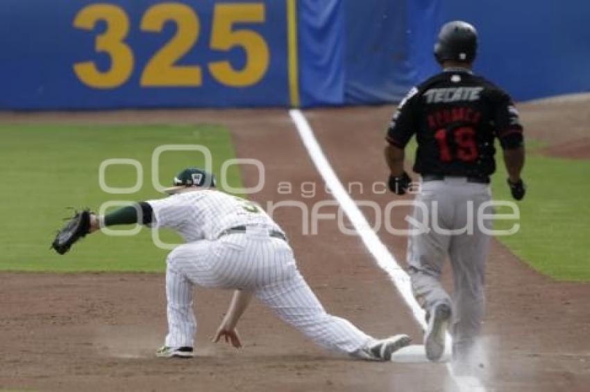 SERIE DEL REY . PERICOS VS TOROS