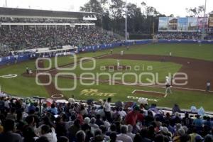 SERIE DEL REY . PERICOS VS TOROS