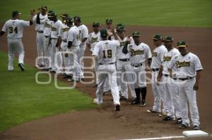 SERIE DEL REY . PERICOS VS TOROS