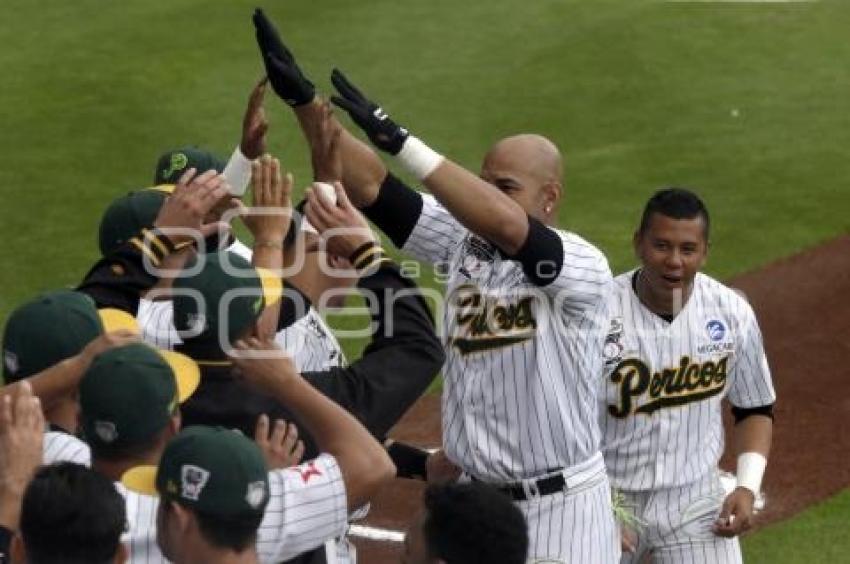 SERIE DEL REY . PERICOS VS TOROS