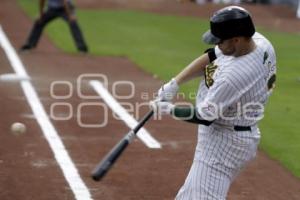 SERIE DEL REY . PERICOS VS TOROS