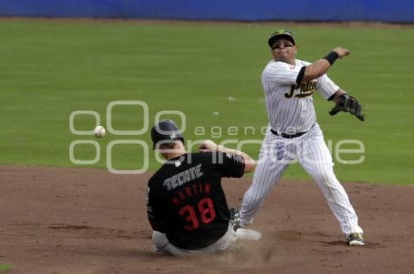 SERIE DEL REY . PERICOS VS TOROS