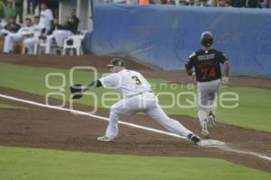 SERIE DEL REY . PERICOS VS TOROS