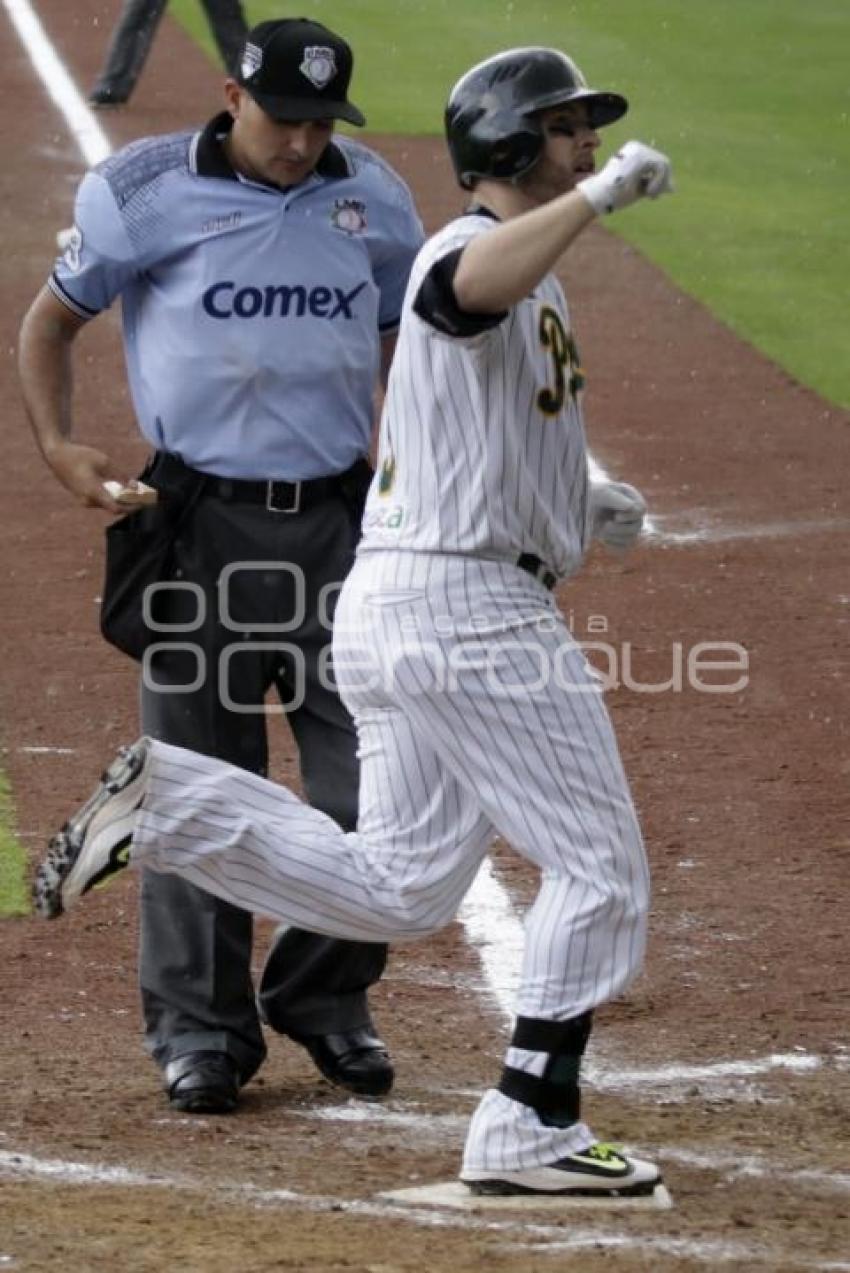 SERIE DEL REY . PERICOS VS TOROS