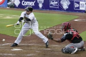 SERIE DEL REY . PERICOS VS TOROS