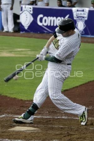 SERIE DEL REY . PERICOS VS TOROS