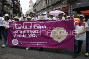 MARCHA DEL FRENTE NACIONAL POR LA FAMILIA