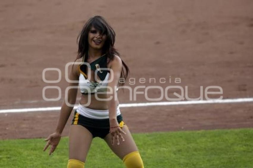 SERIE DEL REY . PERICOS VS TOROS