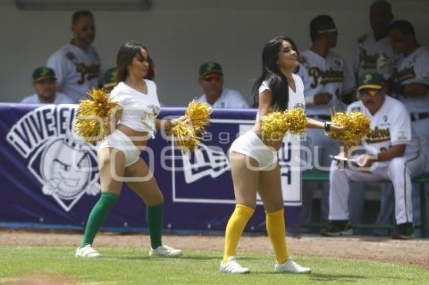 SERIE DEL REY . PERICOS VS TOROS