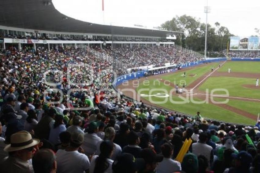 SERIE DEL REY . PERICOS VS TOROS