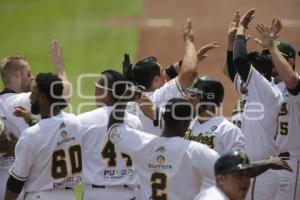 SERIE DEL REY . PERICOS VS TOROS