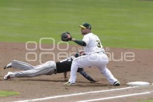 SERIE DEL REY . PERICOS VS TOROS