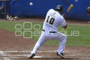 SERIE DEL REY . PERICOS VS TOROS