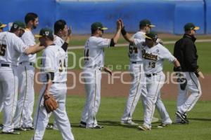 SERIE DEL REY . PERICOS VS TOROS