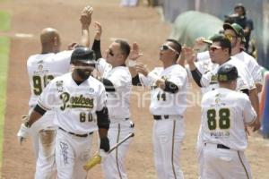 SERIE DEL REY . PERICOS VS TOROS