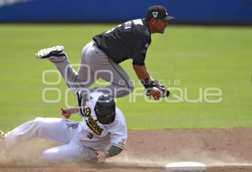 SERIE DEL REY . PERICOS VS TOROS