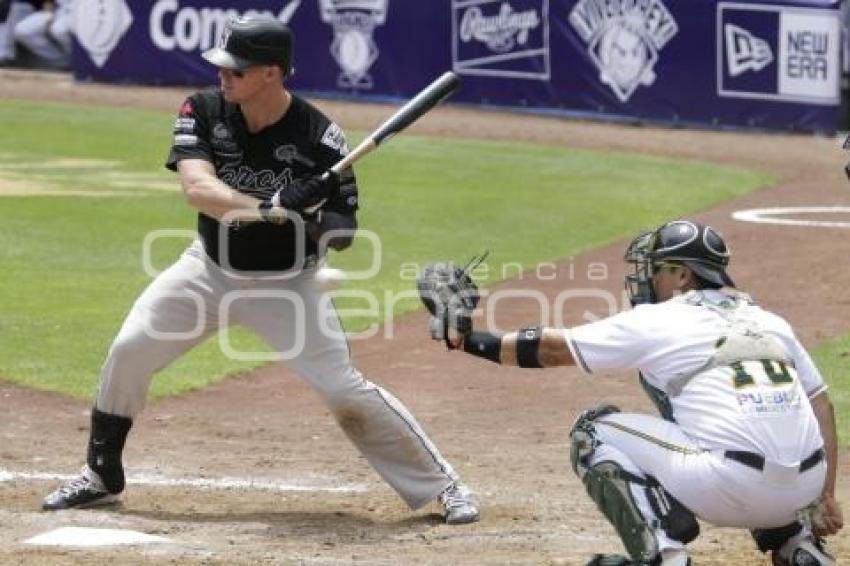 SERIE DEL REY . PERICOS VS TOROS