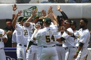 SERIE DEL REY . PERICOS VS TOROS