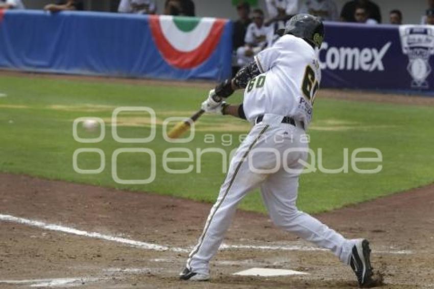 SERIE DEL REY . PERICOS VS TOROS