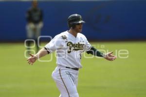 SERIE DEL REY . PERICOS VS TOROS