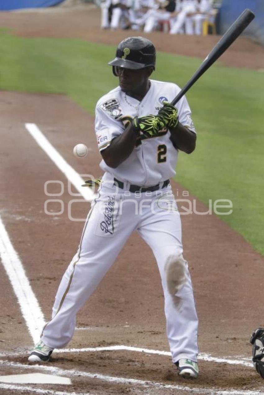 SERIE DEL REY . PERICOS VS TOROS