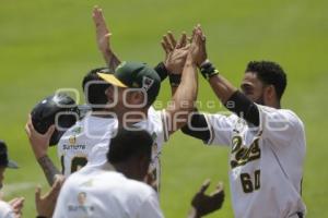 SERIE DEL REY . PERICOS VS TOROS