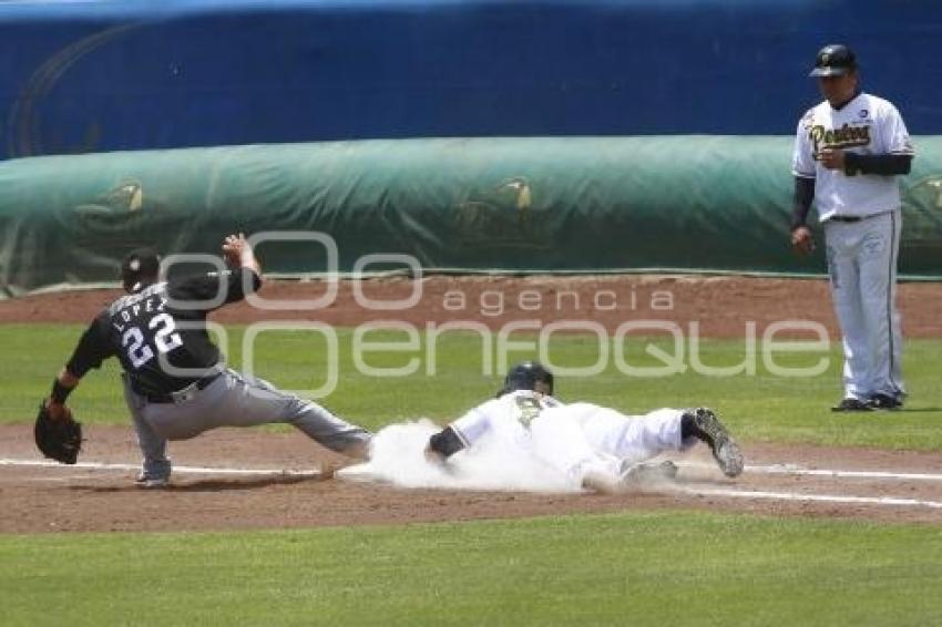 SERIE DEL REY . PERICOS VS TOROS