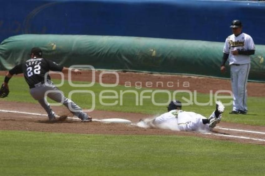 SERIE DEL REY . PERICOS VS TOROS