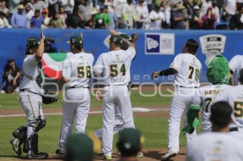 SERIE DEL REY . PERICOS VS TOROS