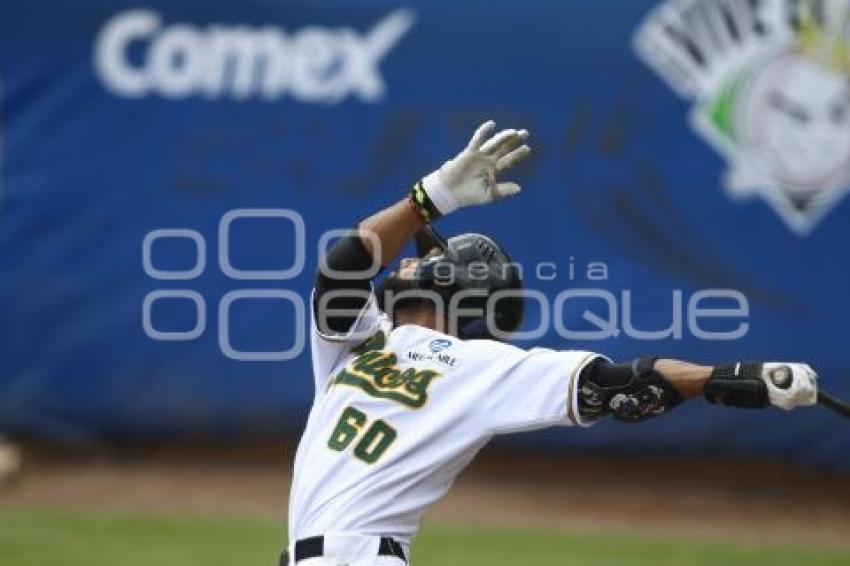 SERIE DEL REY . PERICOS VS TOROS