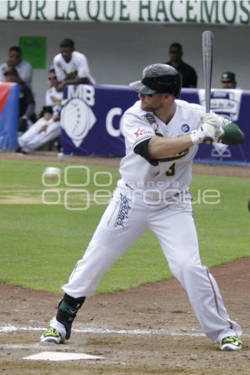 SERIE DEL REY . PERICOS VS TOROS