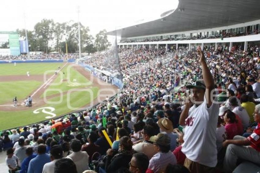 SERIE DEL REY . PERICOS VS TOROS