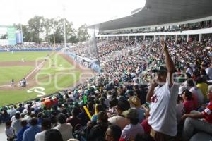 SERIE DEL REY . PERICOS VS TOROS