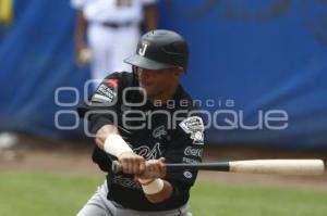 SERIE DEL REY . PERICOS VS TOROS